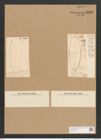 Nitzschia circumsuta (Bail.) Grun. (de-Toni-Nr.: Genus 47, Species 2037) Zeichnungen Sammlung Grunow Nr. 4023 (NHMW-BOT-W0371831)
